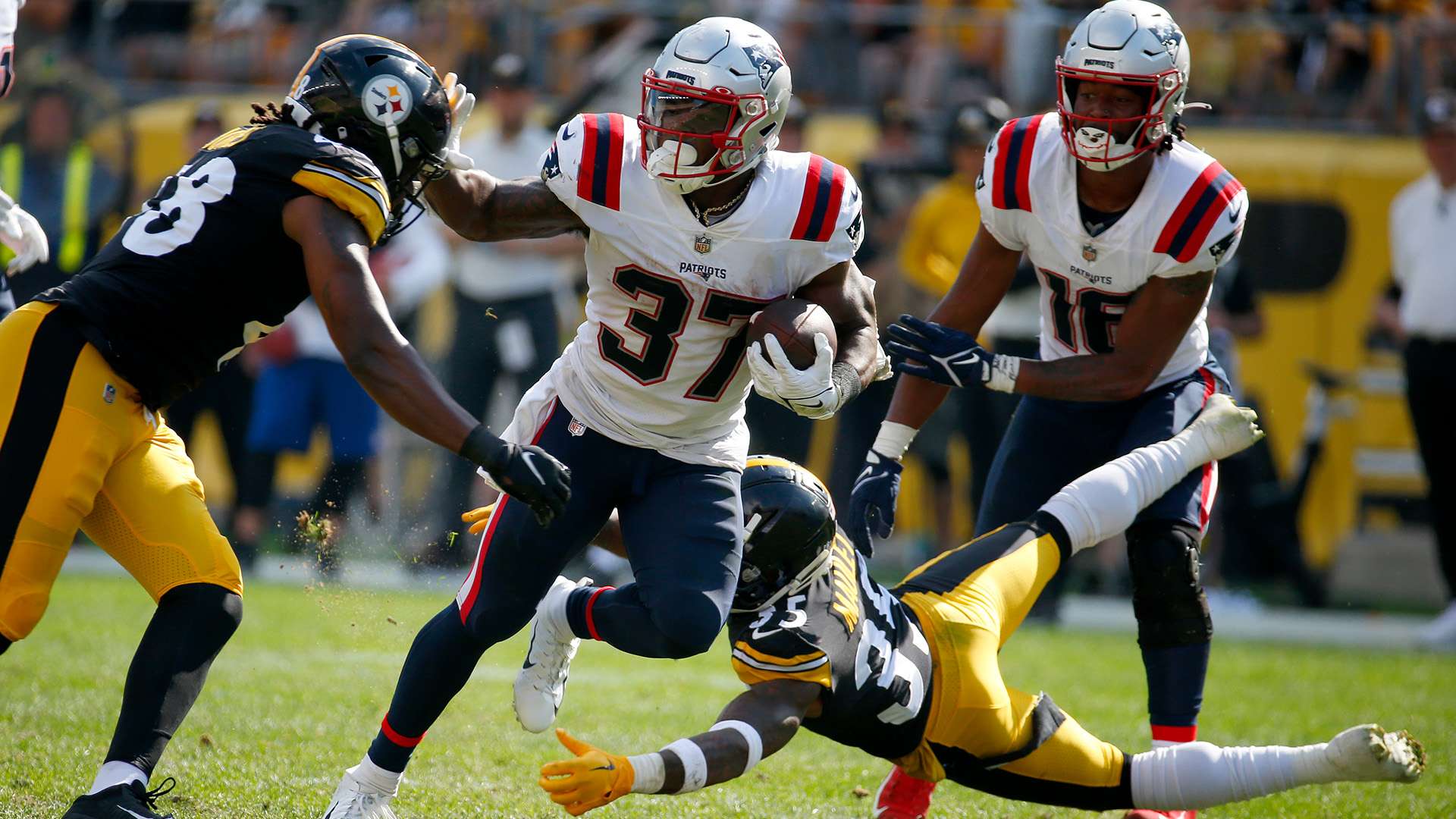 不仅是各队 不仅是各队